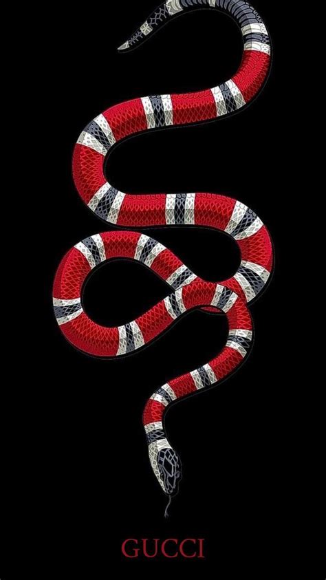 snake logo gucci|gucci snake logo background.